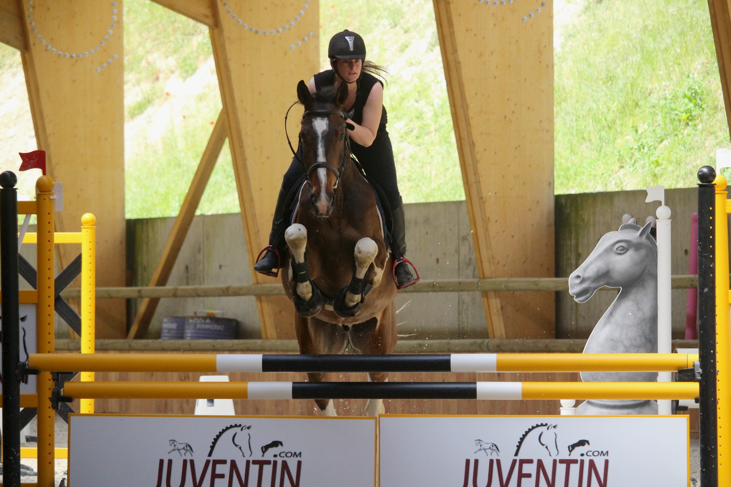 Cavalière et cheval en saut d'obstacle durant un cours d'équitation