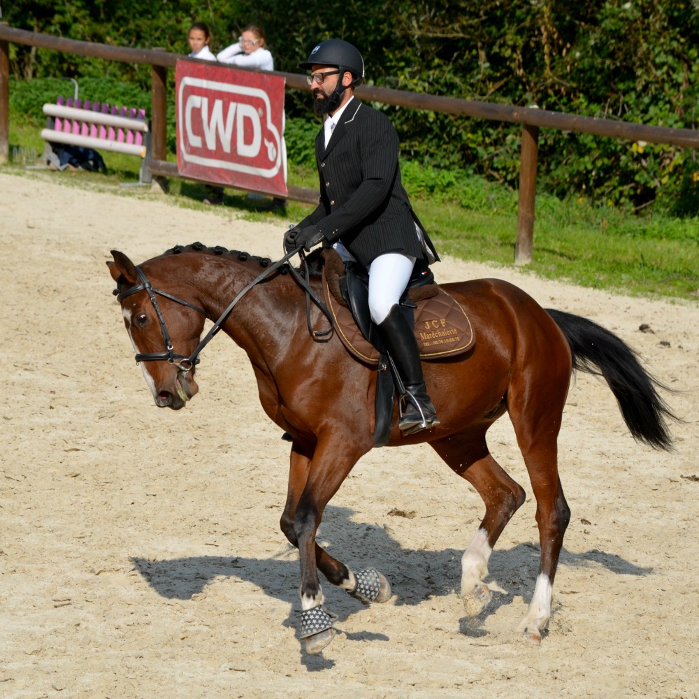 Cavalier en tenue lors d'un concours CSO en Savoie