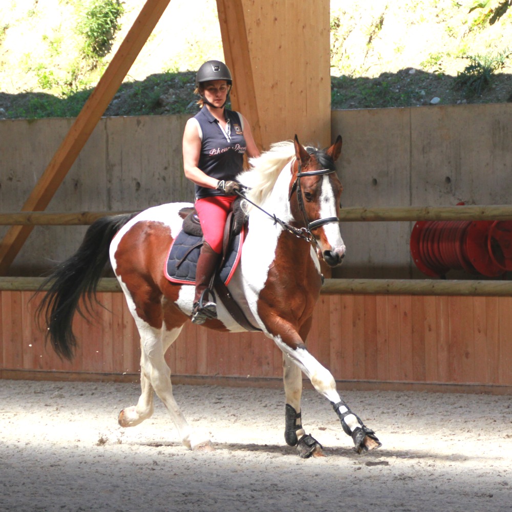 Cheval et cavalière au galop dans un manège à Chambéry