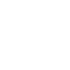 Cheval JUVENTIN